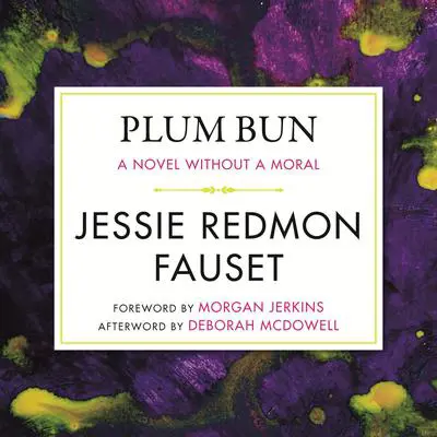 Plum Bun: A Novel without a Moral Audibook, by Jessie Redmon Fauset