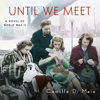 Until We Meet Audibook, by Camille Di Maio