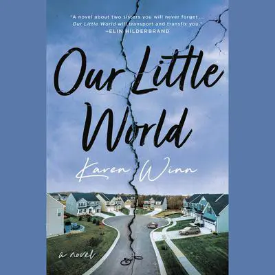 Our Little World: A Novel Audibook, by Karen Winn