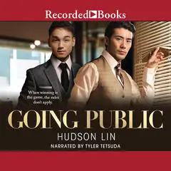 Going Public Audibook, by Hudson Lin
