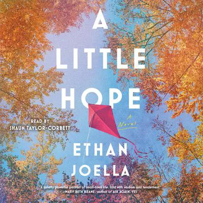 A Little Hope: A Novel Audibook, by Ethan Joella
