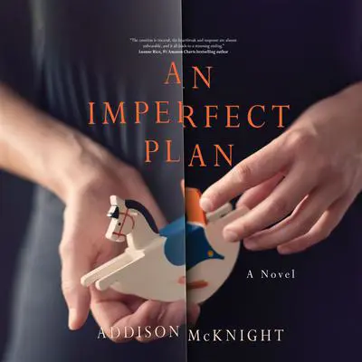 An Imperfect Plan: A Novel Audibook, by Addison McKnight