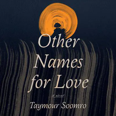 Other Names for Love: A Novel Audibook, by Taymour Soomro