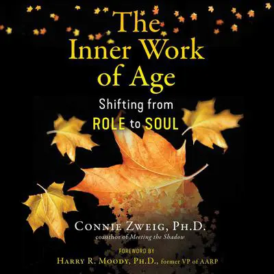 The Inner Work of Age: Shifting from Role to Soul Audibook, by Connie Zweig