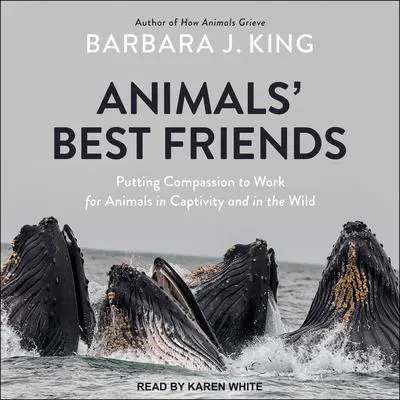 Animals' Best Friends: Putting Compassion to Work for Animals in Captivity and in the Wild Audibook, by Barbara J. King