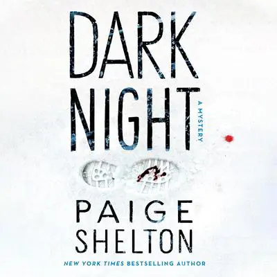 Dark Night: A Mystery Audibook, by Paige Shelton