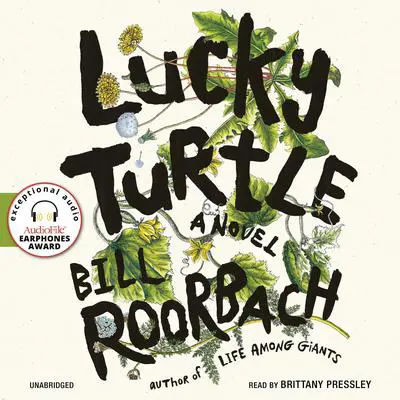 Lucky Turtle Audibook, by Bill Roorbach