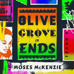 An Olive Grove in Ends Audibook, by Moses McKenzie