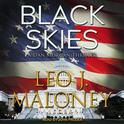 Black Skies Audibook, by Leo J. Maloney