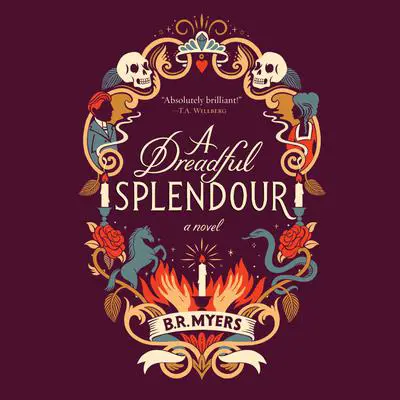 A Dreadful Splendour: An Edgar Award Winner Audibook, by B. R. Myers