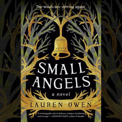 Small Angels: A Novel Audibook, by Lauren Owen