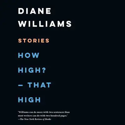 How High? - That High: Stories Audibook, by Diane Williams