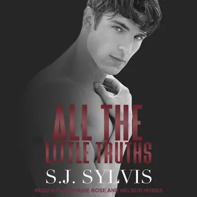 All the Little Truths Audibook, by S.J. Sylvis