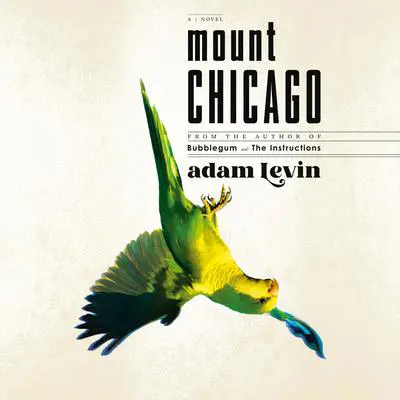 Mount Chicago: A Novel Audibook, by Adam Levin