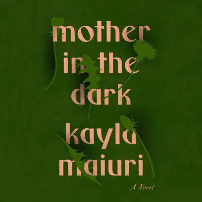 Mother In the Dark: A Novel Audibook, by Kayla Maiuri
