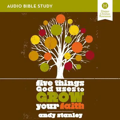 Five Things God Uses to Grow Your Faith: Audio Bible Studies Audibook, by Andy Stanley