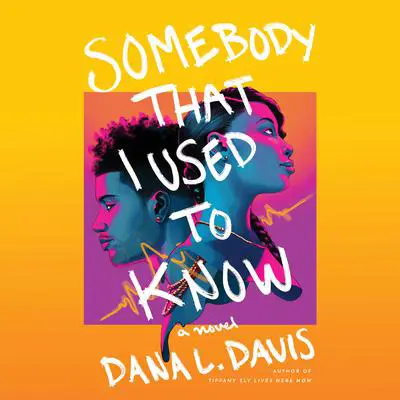 Somebody That I Used to Know: A Novel Audibook, by Dana L. Davis
