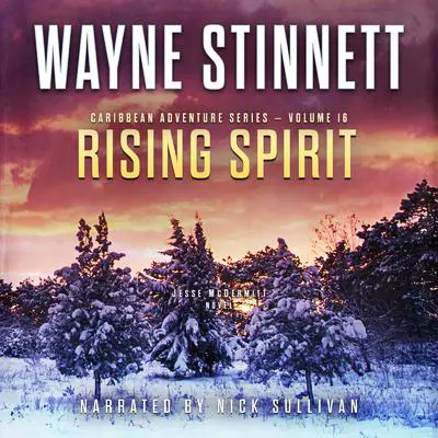 Rising Spirit: A Jesse McDermitt Novel Audibook, by Wayne Stinnett