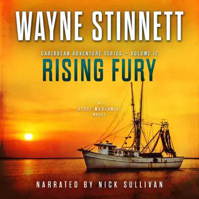 Rising Fury: A Jesse McDermitt Novel Audibook, by Wayne Stinnett