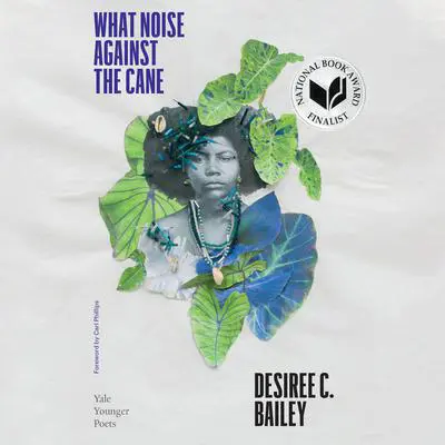 What Noise Against the Cane Audibook, by Desiree C. Bailey