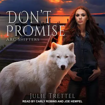 Don't Promise Audibook, by Julie Trettel