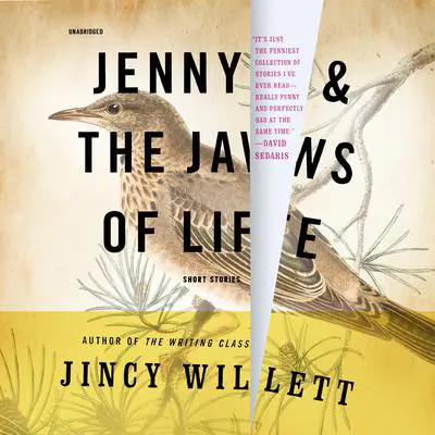 Jenny and the Jaws of Life: Short Stories Audibook, by Jincy Willett