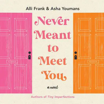 Never Meant to Meet You Audibook, by Alli Frank