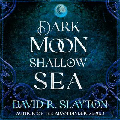 Dark Moon, Shallow Sea Audibook, by David R. Slayton