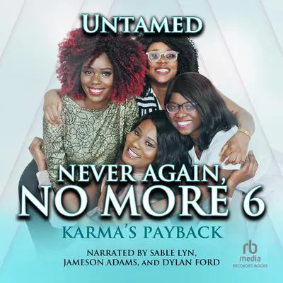 Never Again, No More 6: Karma's Payback Audibook, by Untamed