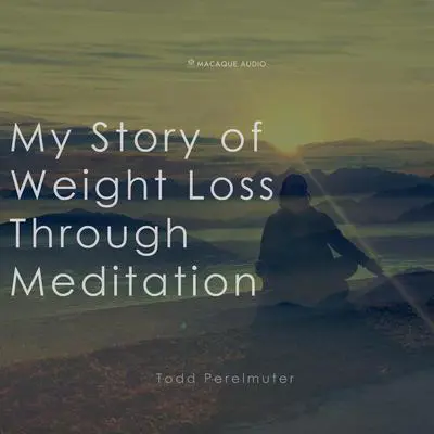 My Story of Weightloss through Meditation Audibook, by Todd Perelmuter