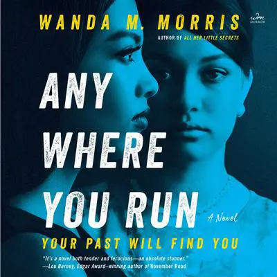 Anywhere You Run: A Novel Audibook, by Wanda M. Morris