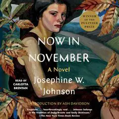Now in November Audibook, by Josephine Johnson