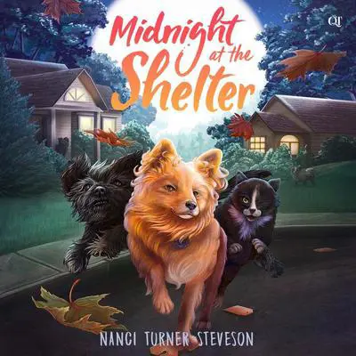 Midnight at the Shelter Audibook, by Nanci Turner Steveson