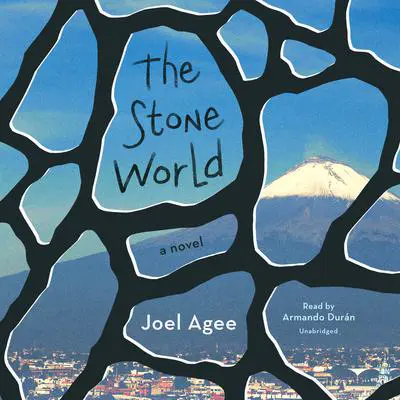 The Stone World: A Novel Audibook, by Joel Agee
