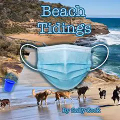 Beach Tidings Audibook, by Sally Cook
