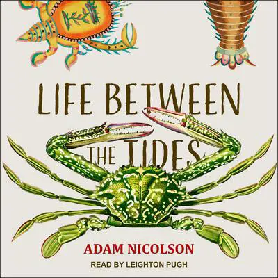 Life Between the Tides Audibook, by Adam Nicolson