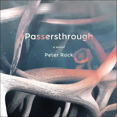 Passersthrough Audibook, by Peter Rock