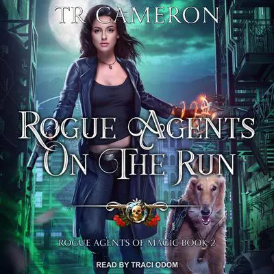 Rogue Agents on the Run Audibook, by TR Cameron