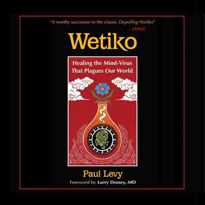 Wetiko: Healing the Mind-Virus That Plagues Our World Audibook, by Paul Levy