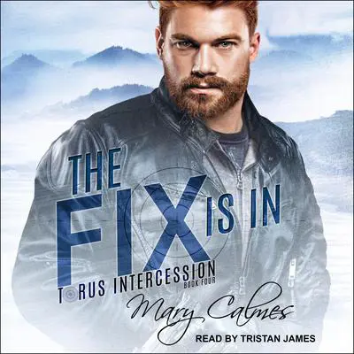 The Fix Is In Audibook, by Mary Calmes