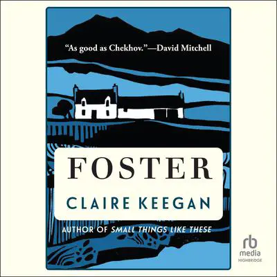 Foster Audibook, by Claire Keegan