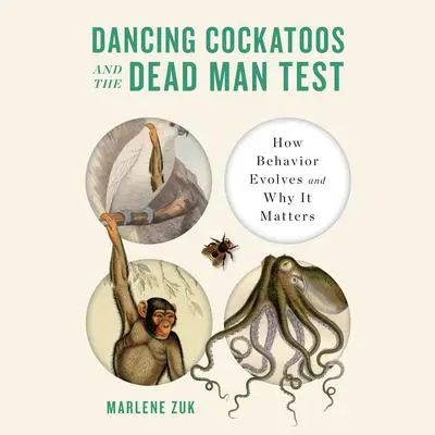 Dancing Cockatoos and the Dead Man Test: How Behavior Evolves and Why It Matters Audibook, by Marlene Zuk