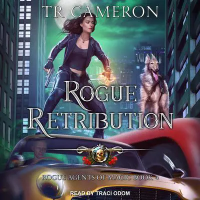 Rogue Retribution Audibook, by Michael Anderle