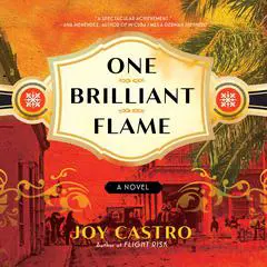 One Brilliant Flame: A Novel Audibook, by Joy Castro