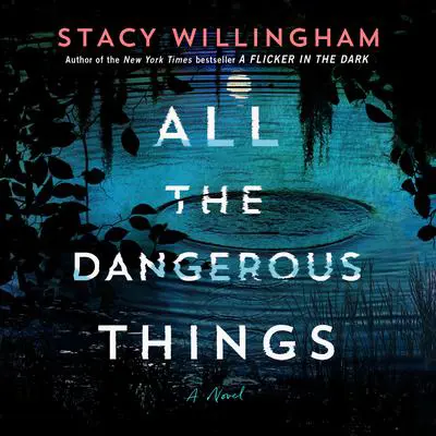 All the Dangerous Things: A Novel Audibook, by Stacy Willingham