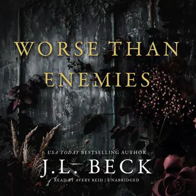 Worse Than Enemies Audibook, by J. L. Beck