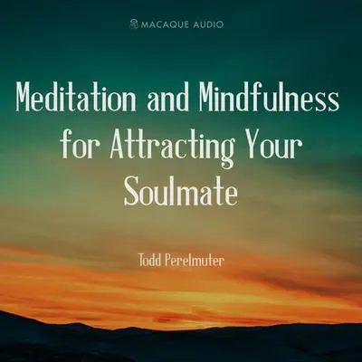 Meditation and Mindfulness for Attracting Your Soulmate Audibook, by Todd Perelmuter