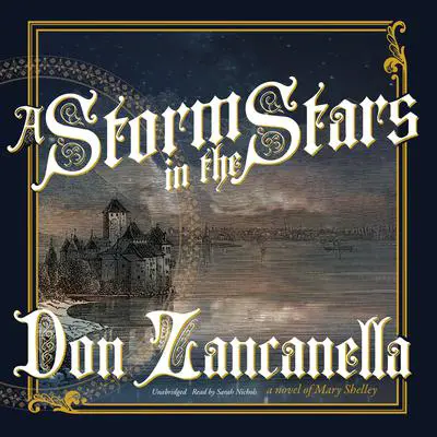 A Storm in the Stars: A Novel Audibook, by Don Zancanella