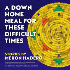 A Down Home Meal for These Difficult Times: Stories Audibook, by Meron Hadero