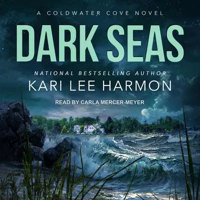 Dark Seas Audibook, by Kari Lee Harmon